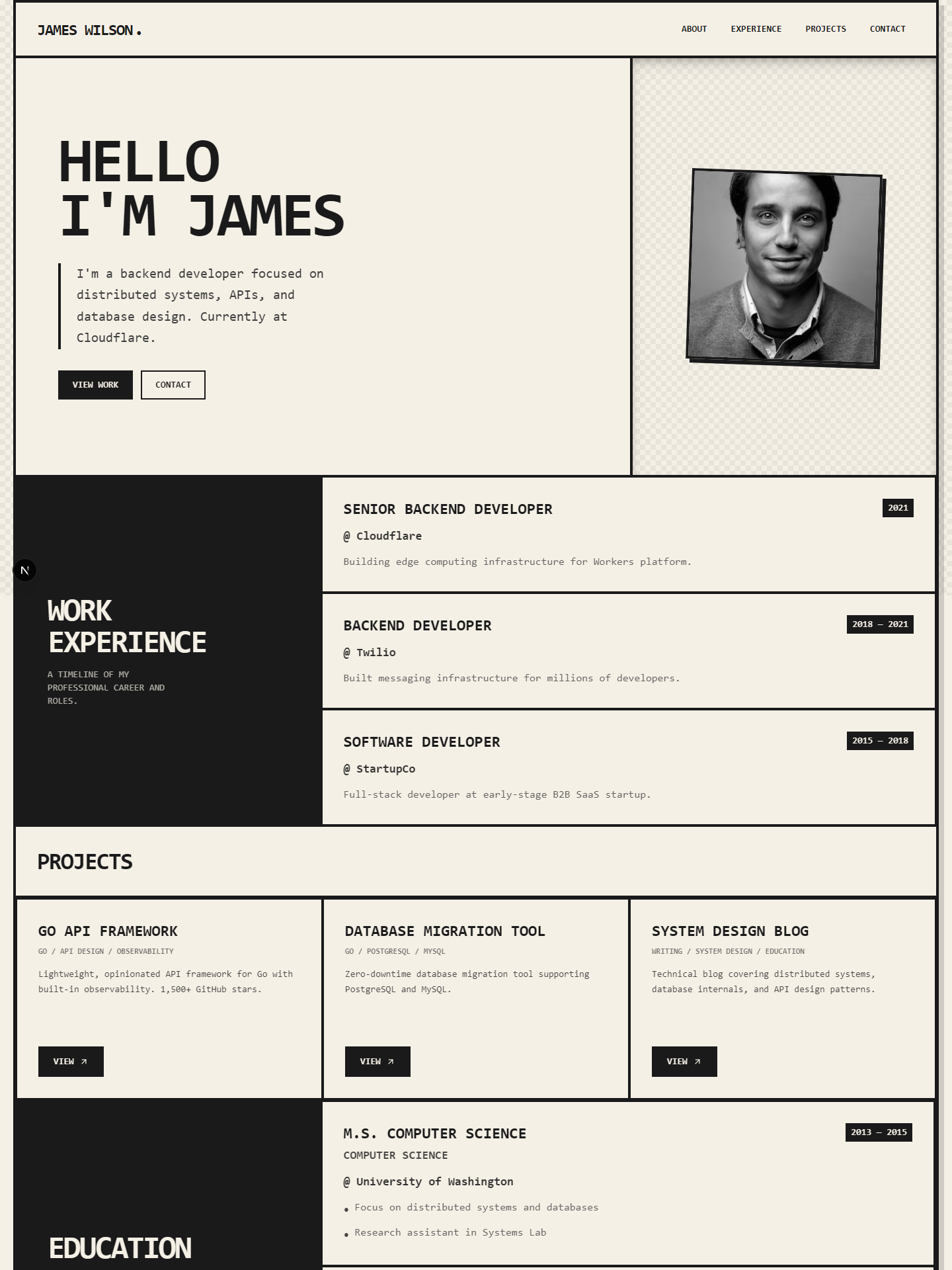 Brutal template preview for backend-developer