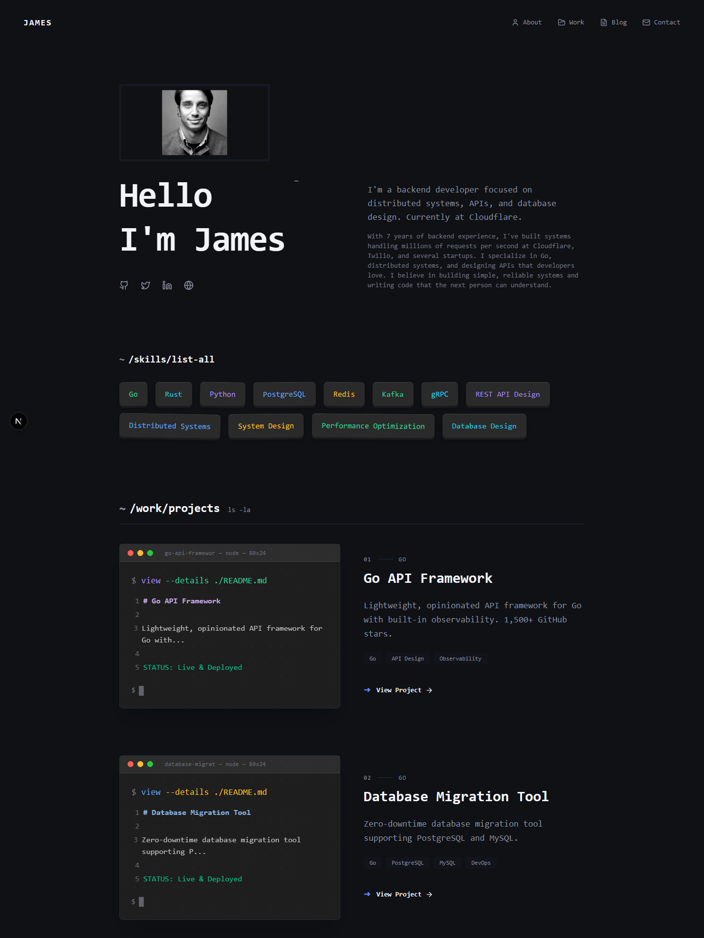 Terminal template preview for backend-developer