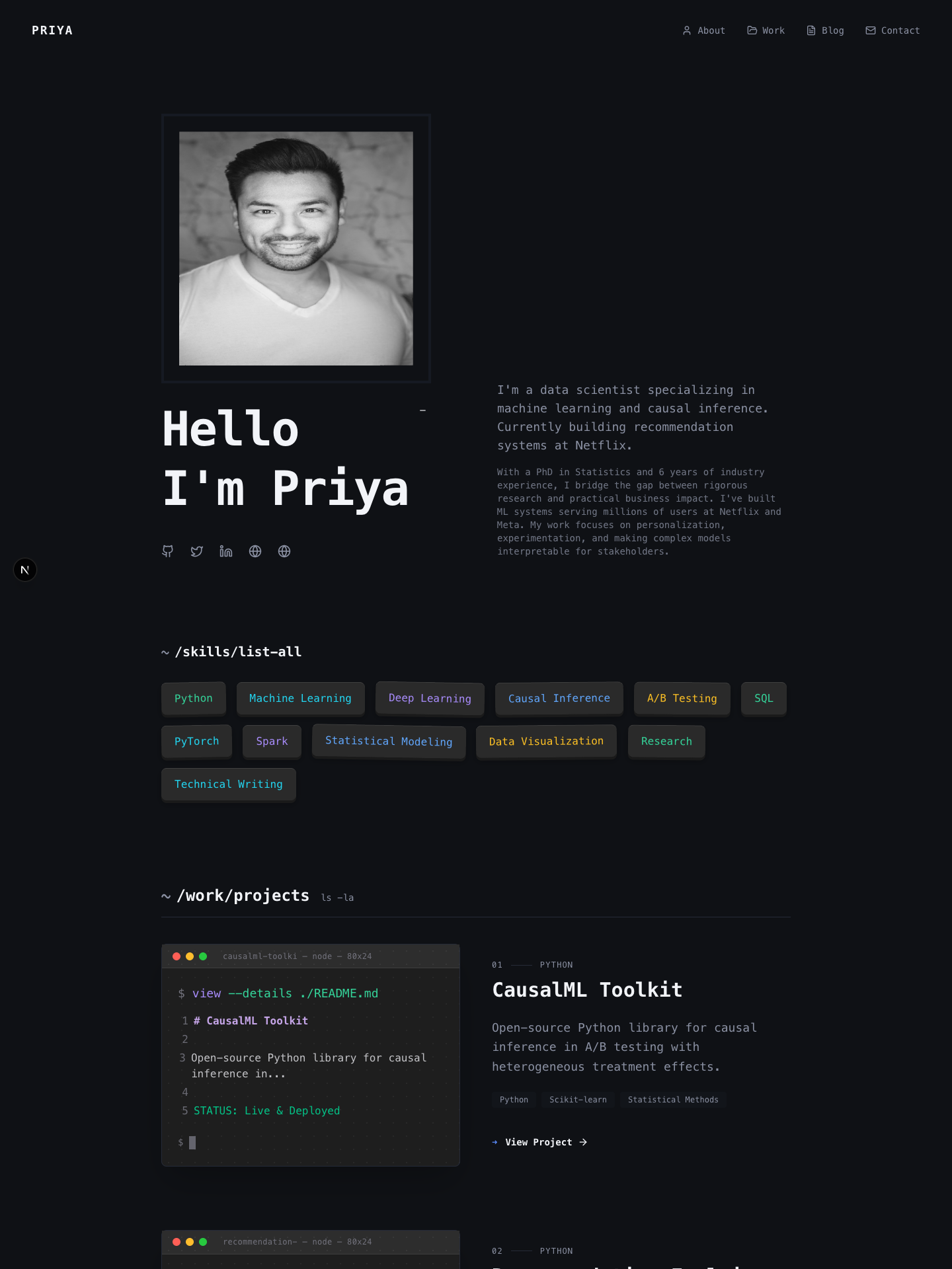 Terminal template preview for data-scientist