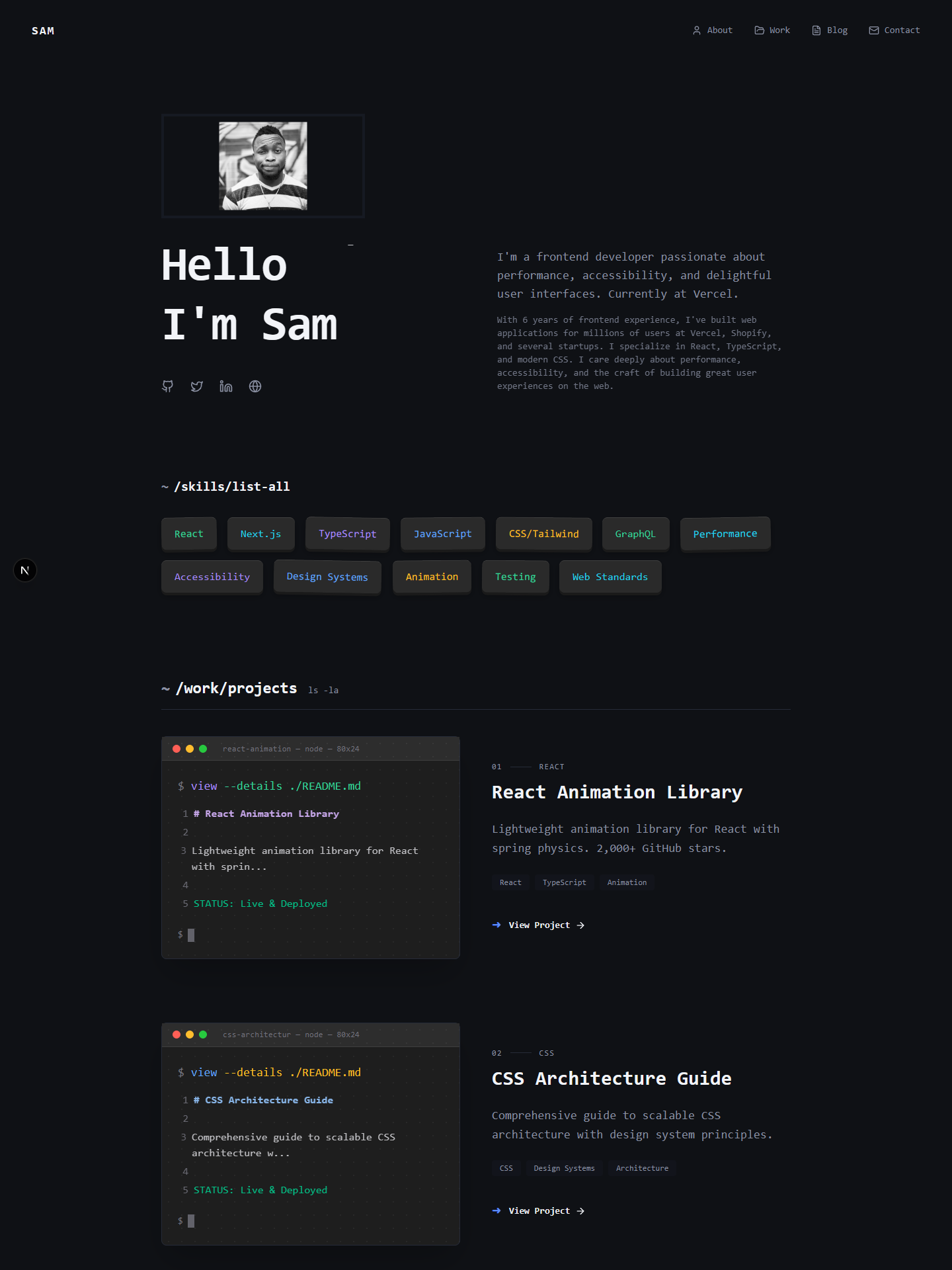 Terminal template preview for frontend-developer